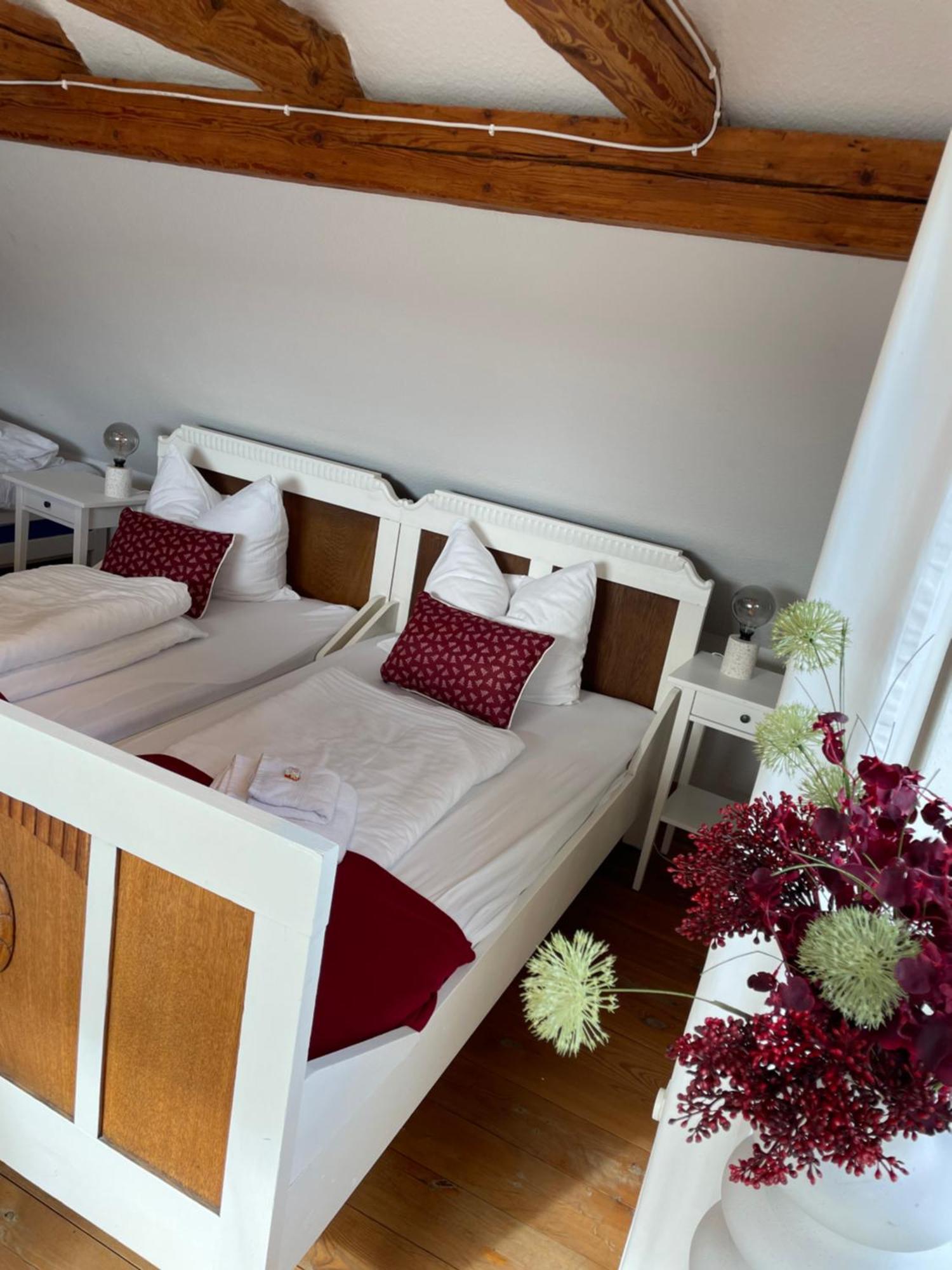 Ferienhaus Rennsteig-Wander-Mountainbike Und Langlaufparadies Friedrichshohe  エクステリア 写真