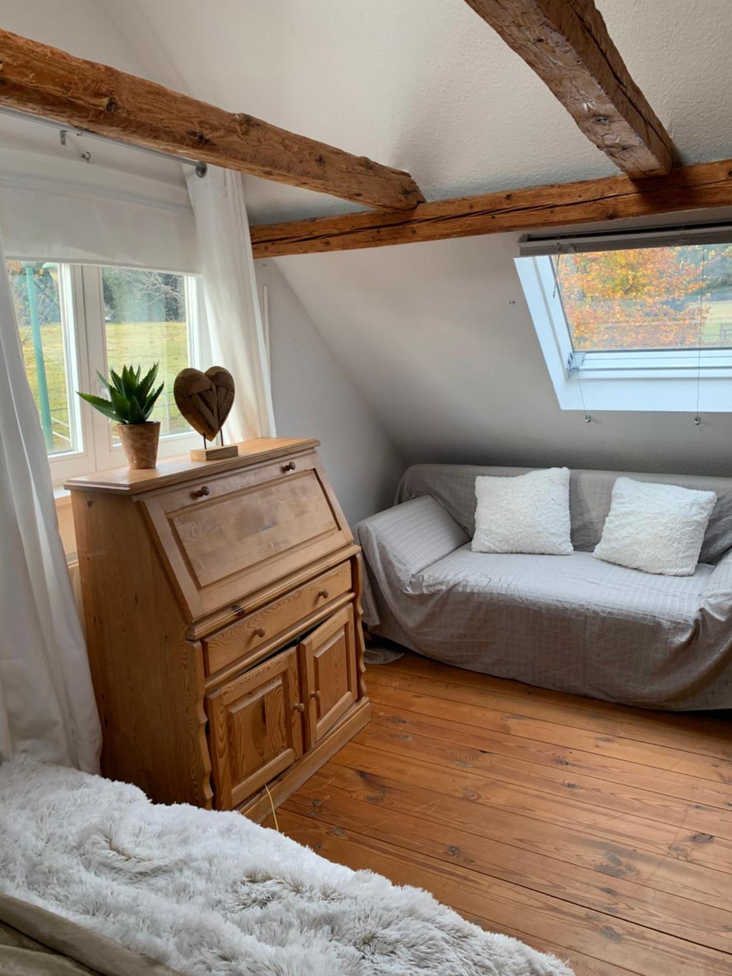 Ferienhaus Rennsteig-Wander-Mountainbike Und Langlaufparadies Friedrichshohe  エクステリア 写真